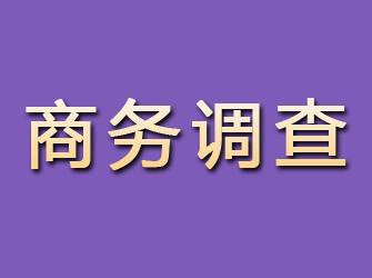 普安商务调查